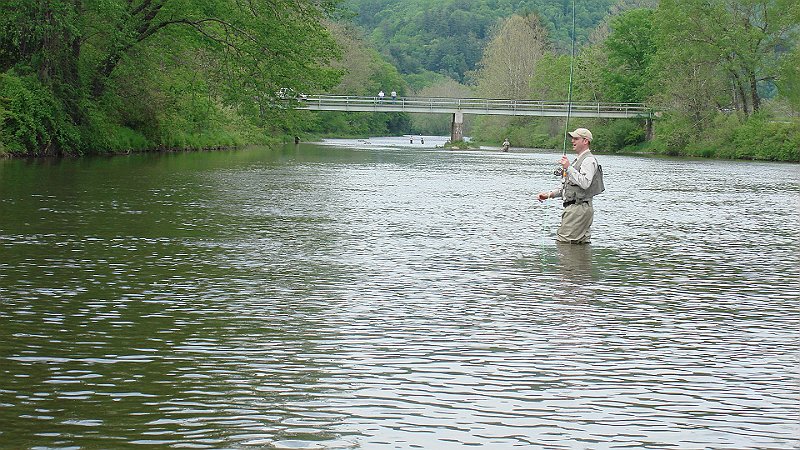 Landing the fish.JPG